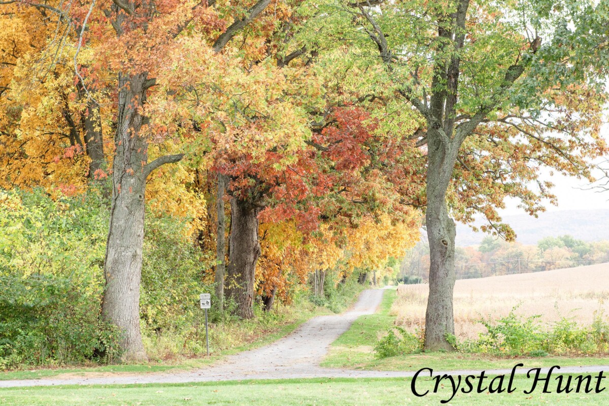 Walking Trail