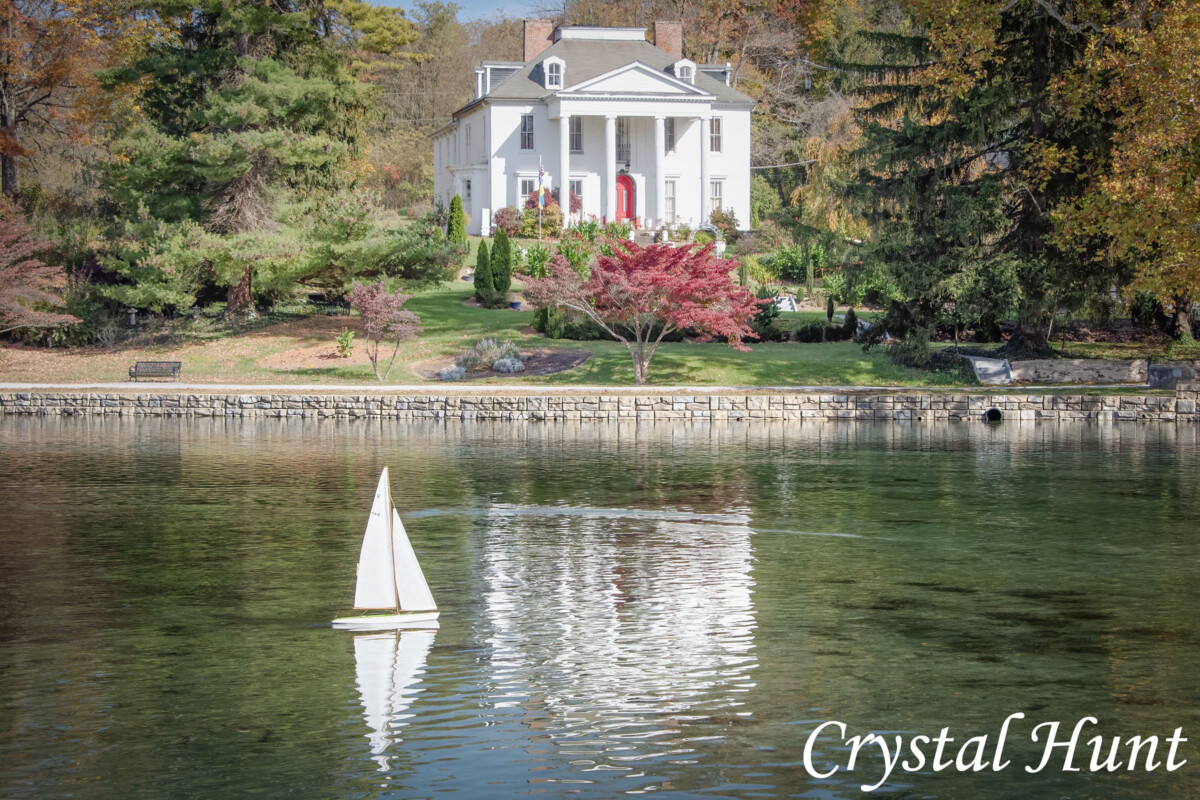 Sailing on the Lake