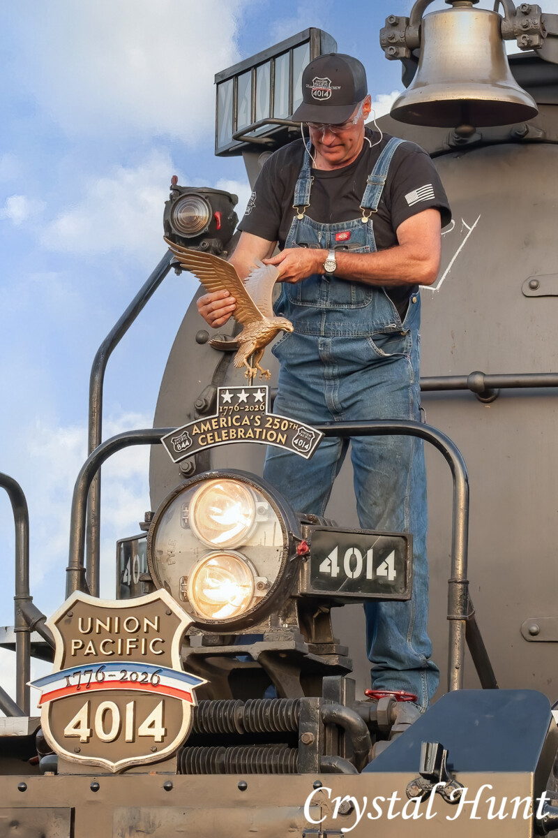 Removing the Eagle