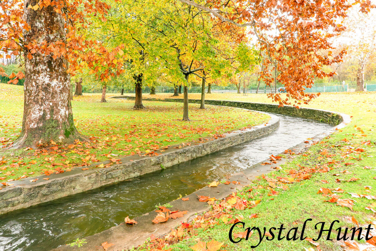Autumn Stream