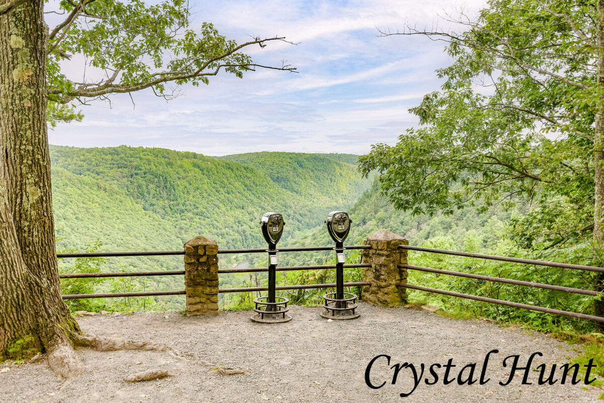 Colton Point Overlook
