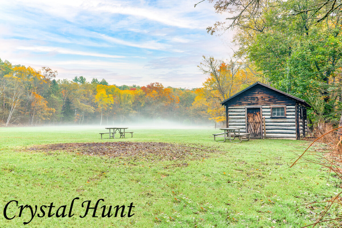 Misty Morning